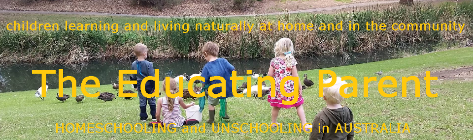 Welcome to The Educating Parent Beverley Paine's archive of articles about homeschooling and unschooling written over a period of 30 plus years
